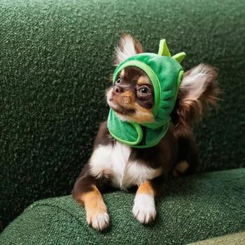 Cap Pet fashion xs Ukraine - buy, prices for MasterZoo - photo 3