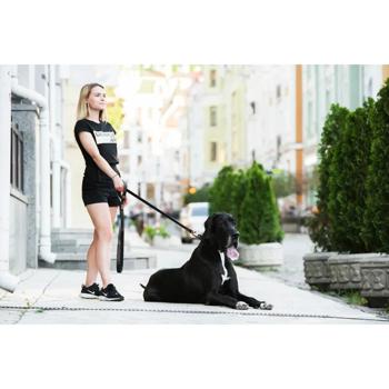 Повідець Collar Evolutor 3м / 25мм чорний - купити, ціни на MasterZoo - фото 5