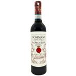 Tommasi Valpolicella Red Dry Wine 12% 0.375l