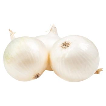 Цибуля біла - купити, ціни на КОСМОС - фото 1