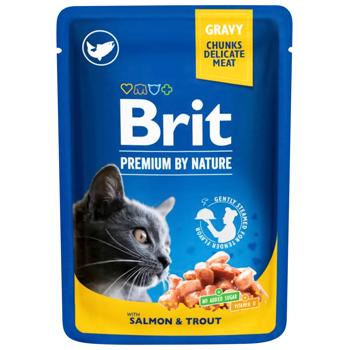 Brit Premium Wet Food with Salmon and Trout for Adult Cats 100g - buy, prices for COSMOS - photo 1