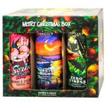 Набір пива Forever Merry Christmas Box нефільтроване 0,5л х 6шт