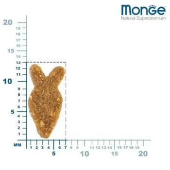 Корм сухий Monge Monoprotein з лососем для котів 1,5кг - купити, ціни на MasterZoo - фото 2