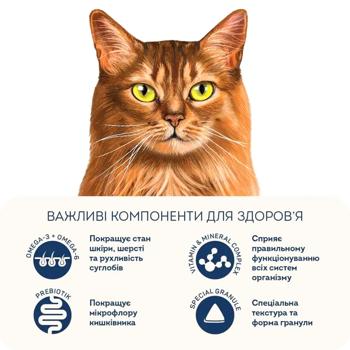 Home Food Dry Food with Turkey and Salmon for Healthy Skin and Coat of Cats 10kg - buy, prices for MasterZoo - photo 6