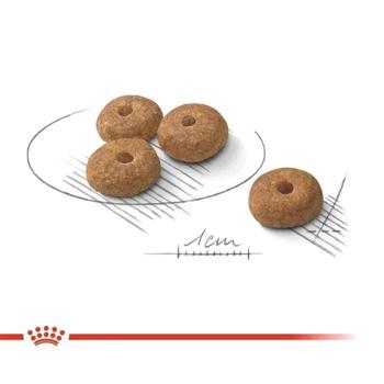 Корм сухий Royal Canin Mini Sterilized Adult для стерилізованих собак малих порід із зайвою вагою 3кг + миска - купити, ціни на MasterZoo - фото 5