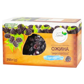 Spela Frozen Blackberry 250g - buy, prices for NOVUS - photo 1