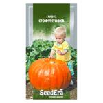 Насіння Seedera Гарбуз Стофунтовка 20г