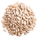 Насіння соняшнику чищене