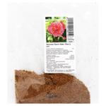 Бульба бегонії Пікоті Лейс Пінк 1шт