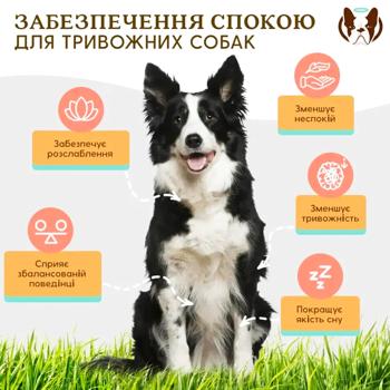 Вітаміни для собак Natural Dog Company Calming Supplement Заспокійлива добавка 90шт - купити, ціни на MasterZoo - фото 2