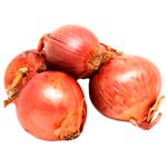 Цибуля Шалот WT кг
