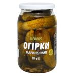 Огірки Novus мариновані пастеризовані 850г