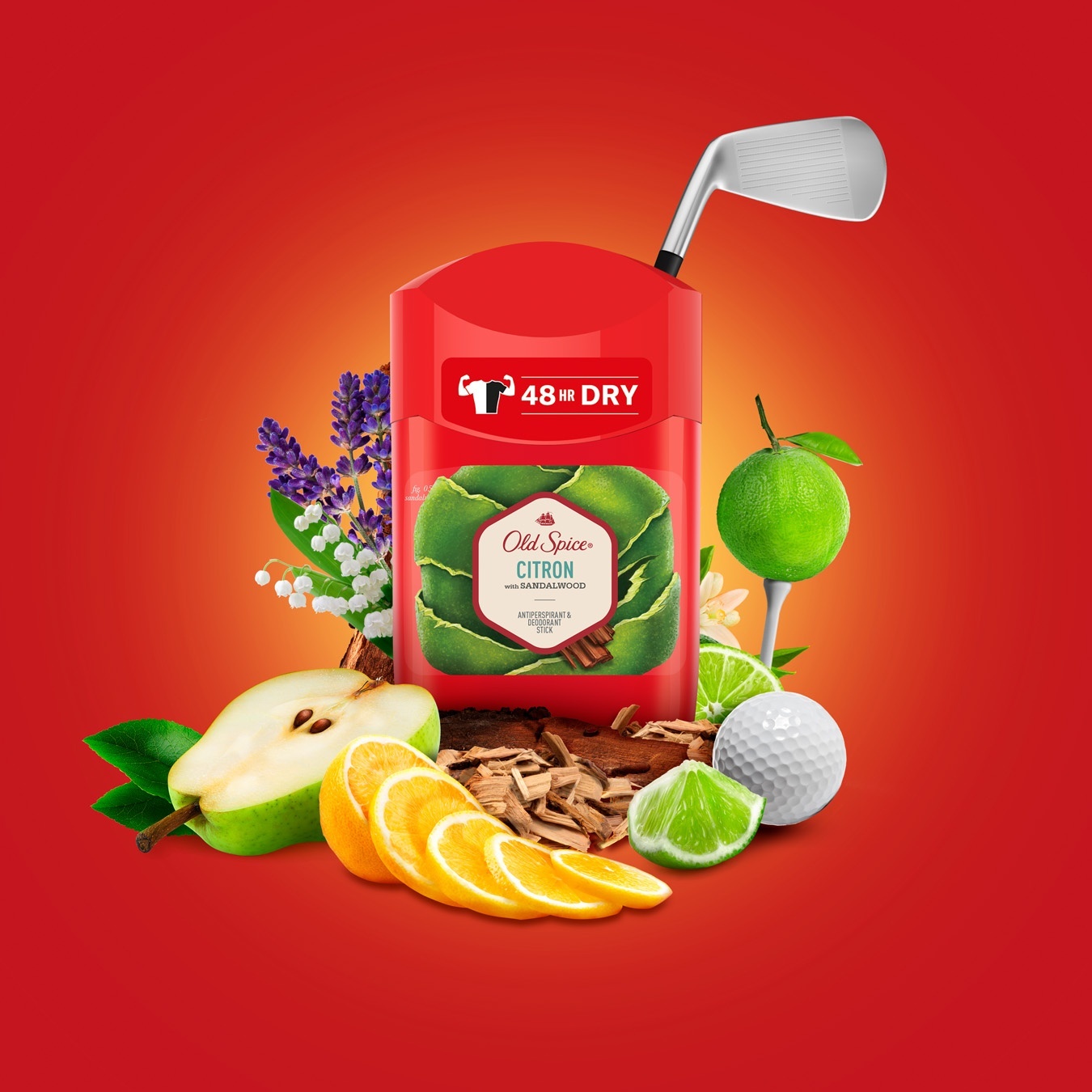 

Дезодорант-антиперспирант Old Spice Citron твердый 50мл
