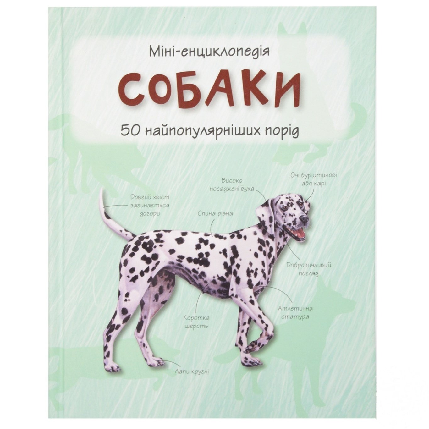 

Книга Собаки. Мини-энциклопедия