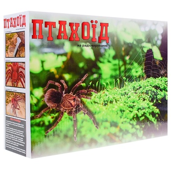 Spider on Radio Control Toy - buy, prices for NOVUS - photo 3