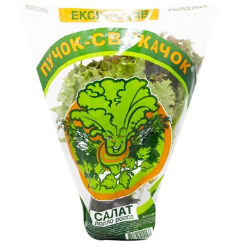 Puchok-Svizhachok Fresh Greens Lettuce Lollo-Rossa - buy, prices for COSMOS - photo 1