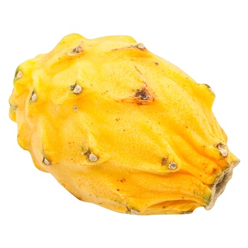 Yellow Pitahaya, pc