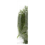 Fresh Dill 100g