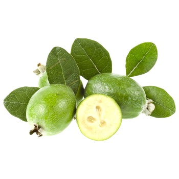 Feijoa - buy, prices for MegaMarket - photo 1