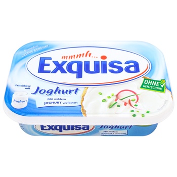 Сыр Exguisa Yoghurt сливочный 14% 200г - купить, цены на МегаМаркет - фото 1