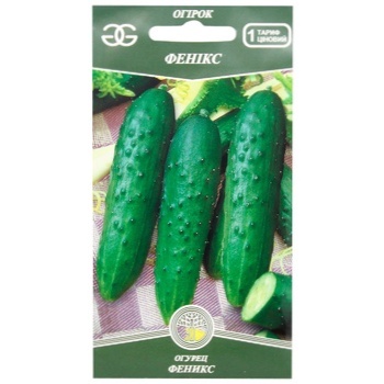 Golden Garden Phoenix Cucumber Seeds 1g - buy, prices for ULTRAMARKET - photo 1