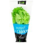 Vershki ta Korintsy Salad 150g
