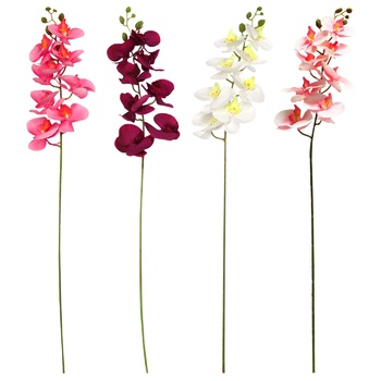 Artificial Colored Orchid Branch - buy, prices for MegaMarket - photo 1