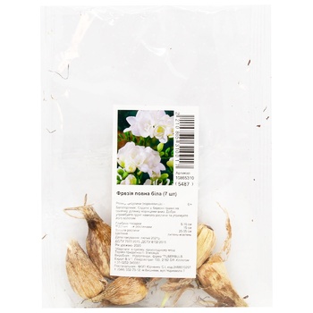 Bulbs Freesia Full White 7pcs