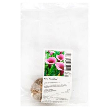 Calla Paco Tuber - buy, prices for - photo 1