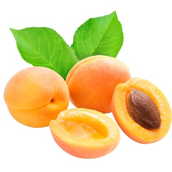 Apricot - buy, prices for MegaMarket - photo 1