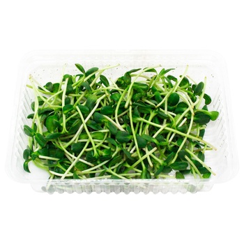 Microgreen Fresh Sunflower Greens 50g - buy, prices for NOVUS - photo 3