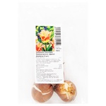 Bulb of Fringed Tulip Joint Division 3pcs