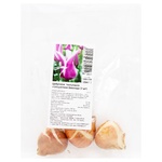 Bulbs of Lily-flower Tulips Ballad 3pcs