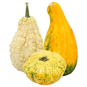 Decorative Pumpkin - buy, prices for - photo 1