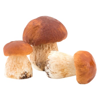 mushrooms Without brand fresh