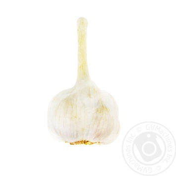 Young Garlic - buy, prices for - photo 7