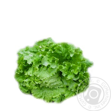 greens lettuce Without brand fresh - buy, prices for - photo 1