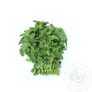 Marjoram - buy, prices for METRO - photo 1