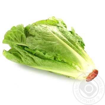 greens romaine Without brand fresh