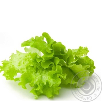 Greens lettuce Without brand fresh Ukraine - buy, prices for NOVUS - photo 1