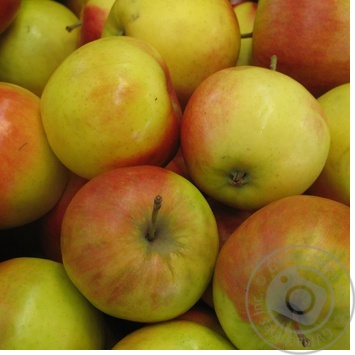 Red apple diameter 75+ Poland - buy, prices for NOVUS - photo 3