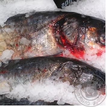 fish silver carp fresh Ukraine - buy, prices for - photo 26