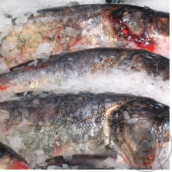 fish silver carp fresh Ukraine - buy, prices for - photo 5