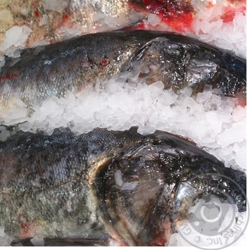 fish silver carp fresh Ukraine - buy, prices for - photo 43