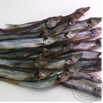 fish capelin rybnyy rai Ukraine - buy, prices for - photo 26