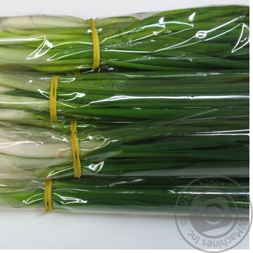 Scallions 50g - buy, prices for - photo 76