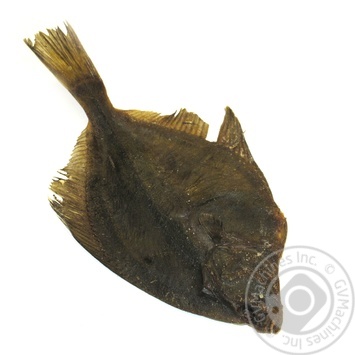 fish flounder - buy, prices for - photo 2