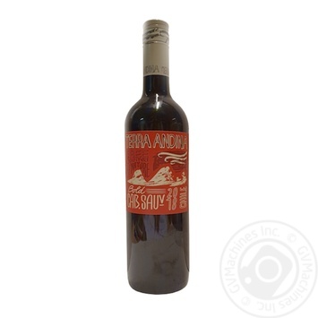 Вино Terra Andina Merlot Centrale Valley червоне сухе 13% 0,75л