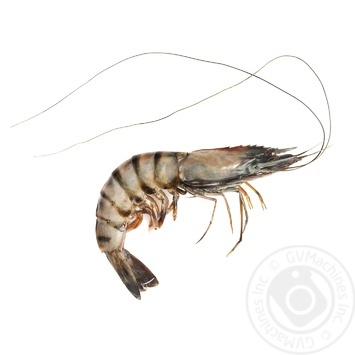 Seafood shrimp penaeus monodon Nordic 1000g - buy, prices for NOVUS - photo 1