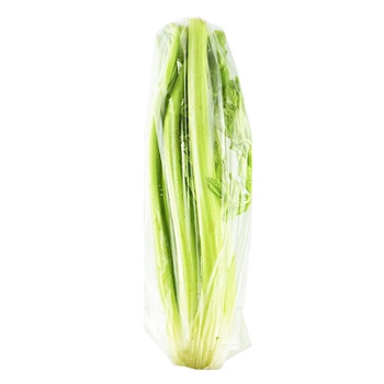 Celery Stalk - buy, prices for NOVUS - photo 2